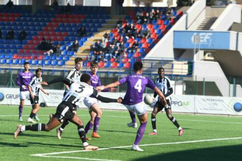 ACF FIORENTINA VS UDINESE CALCIO 07